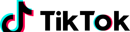 Temporary ban on the TikTok application for civil servants of the federal  public services | Centre for Cyber security Belgium